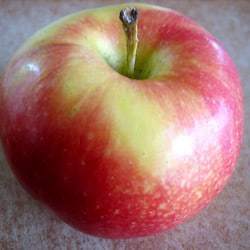 apple