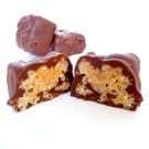 chocolate-covered-peanut-butter-crunch-squares-250