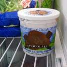 freezer-ice-cream-250
