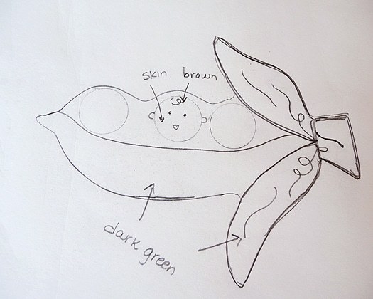 pea-pod-cookies-sketch Pea in a Pod Cookies - Sketch