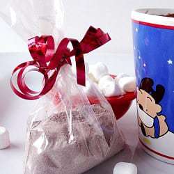 hot-cocoa-mix-1-250