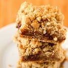 oatmeal-carmelita-bars-3-250
