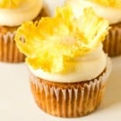 hummingbird-cupcakes-1-250