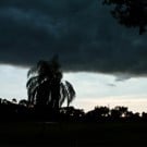 florida-storm-250