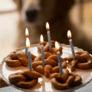 sweet-potato-pretzel-dog-treats-23-250
