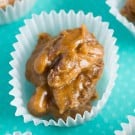 bourbon-pecan-pralines-3-250