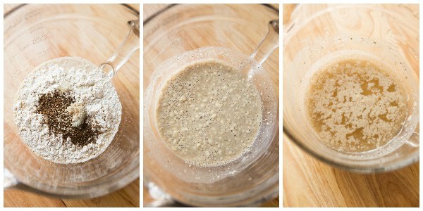 Rye Sour Starter