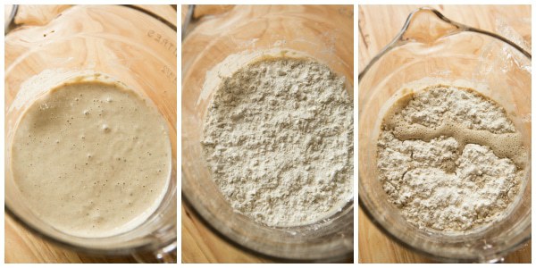 Rye Sour Starter: Stage One