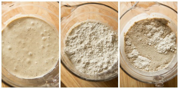 Rye Sour Starter: Stage Two