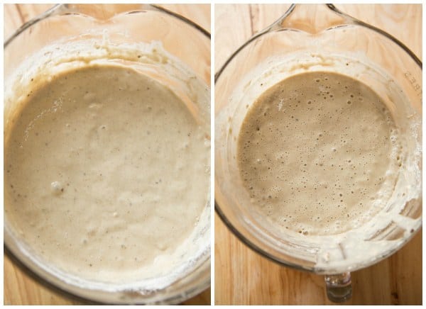 Rye Sour Starter: Stage Three
