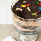 dirt-dessert-23-250