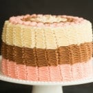 Neapolitan Cake