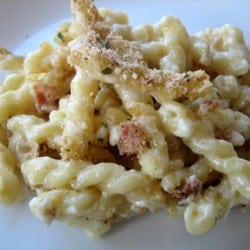 Macaroni and cheese on a white plate.