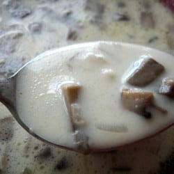 Close up image of a spoon full of cream of mushroom soup.
