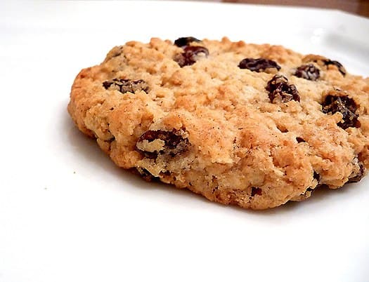 Oatmeal raisin cookie on a white plate.