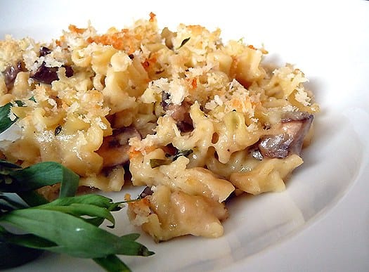 Mushroom herb macaroni and cheese on a white plate.