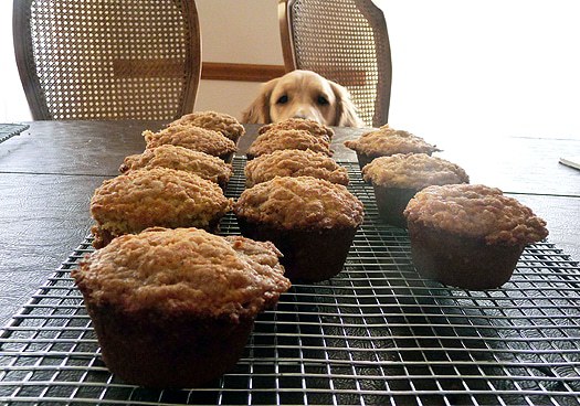 Allspice crumb muffins on a cooling rack.
