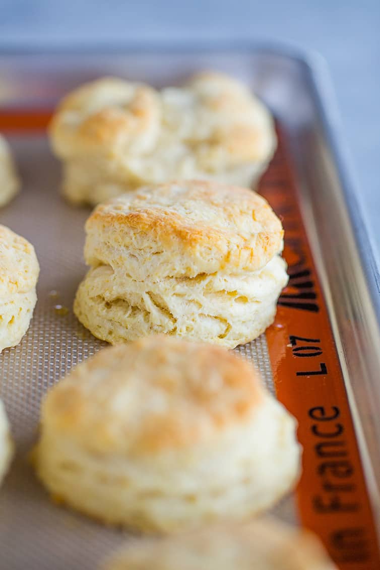 Buttermilk biscuits fresh from the oven on a baking sheet.
