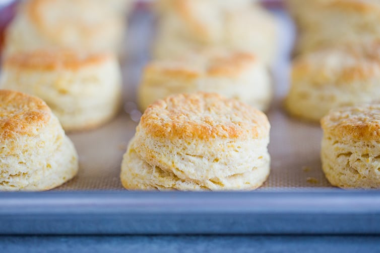 Baked buttermilk biscuits fresh from the oven.