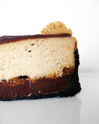 Side view of a slice of peanut butter fudge cheesecake on a white plate.