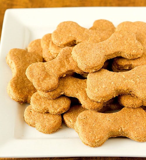 dog treat recipes