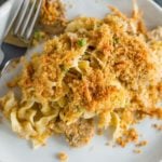 An overhead shot of a plate of turkey tetrazzini.