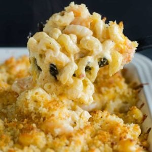 Scooping up a big helping of Cajun shrimp macaroni and cheese.