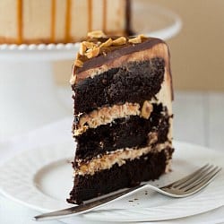 Kalmte plaats Behandeling Snickers Cake Recipe