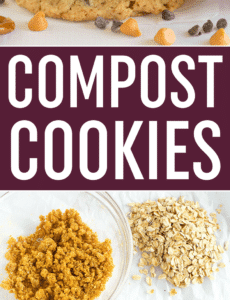 COMPOST COOKIES! These famous Compost Cookies from Momofuku Milk Bar are loaded with everything but the kitchen sink... perfect for those who love the sweet and salty combo!