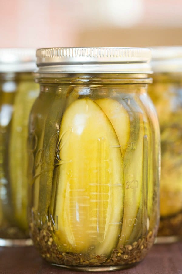 Vlasic Zesty Dill Pickle Recipe