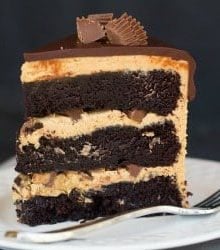 https://www.browneyedbaker.com/wp-content/uploads/2014/03/peanut-butter-cup-overload-cake-43-250-220x250.jpg