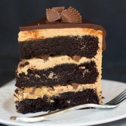 Peanut Butter Cup Cake - Brown Eyed Baker