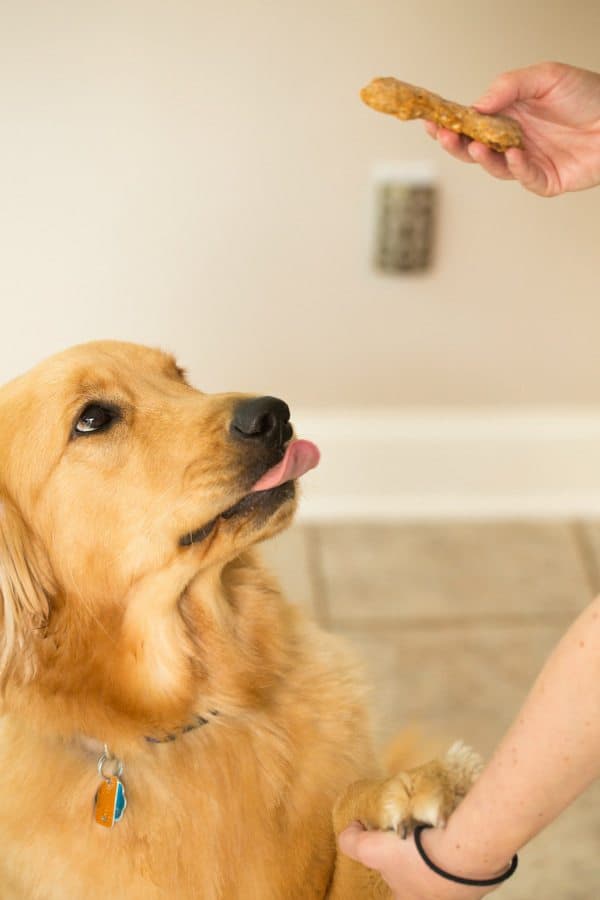 Homemade Peanut Butter-Bacon Dog Treats | browneyedbaker.com