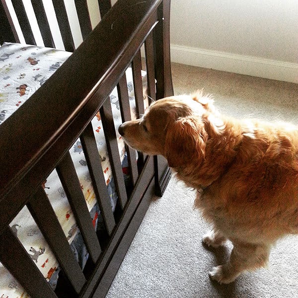 Einstein checking out the crib