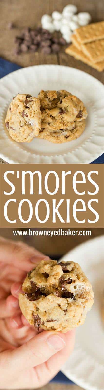 S'mores Cookies made with graham cracker crumbs, mini marshmallows and milk chocolate chips! | browneyedbaker.com