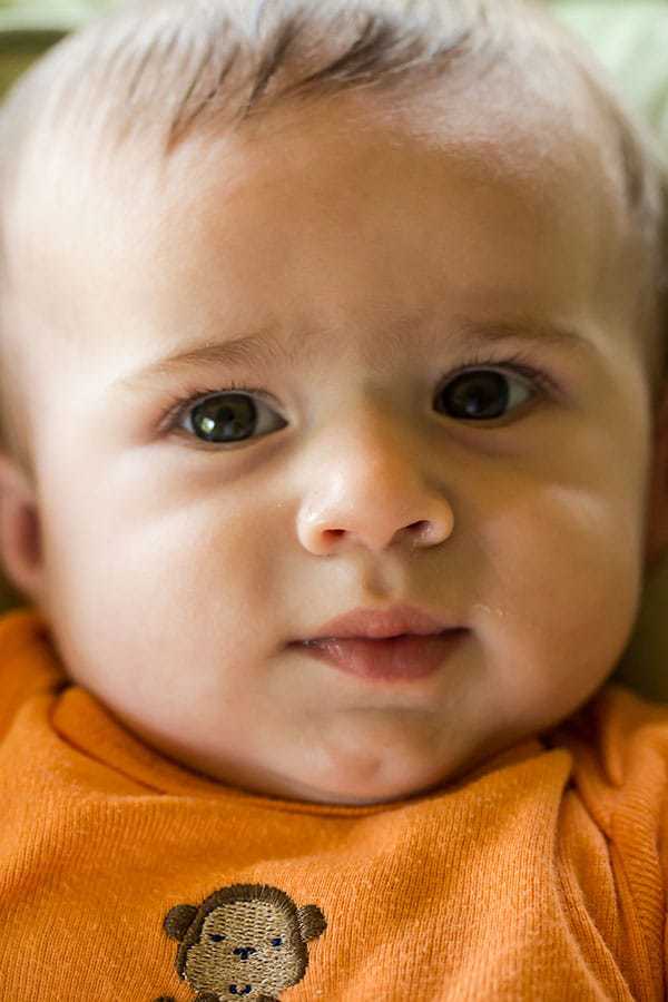 Joseph David - 6 months old | browneyedbaker.com