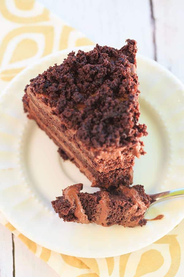 Chocolate Blackout Cake - Filled and frosted with a rich chocolate pudding and coated in cake crumbs! | browneyedbaker.com