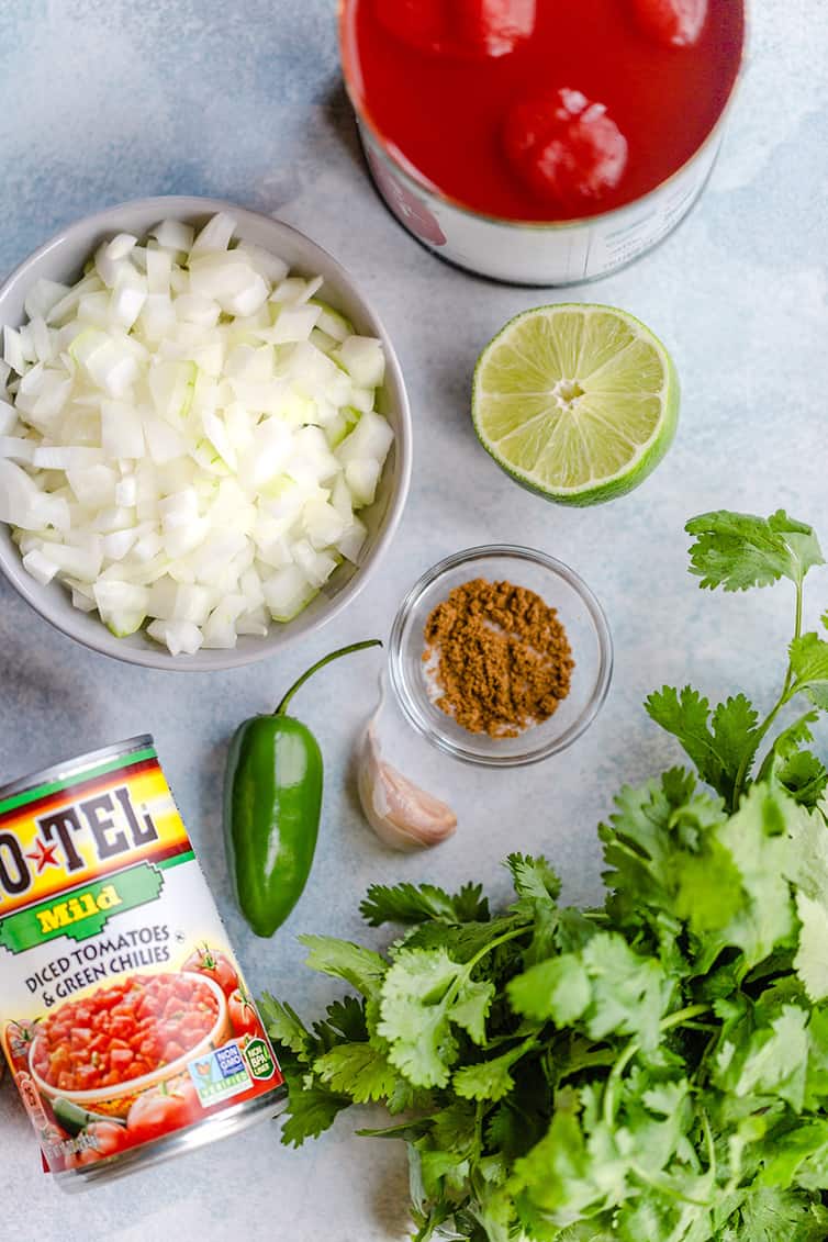 All of the ingredients used in salsa prepped and ready.