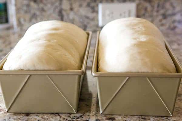 This is a classic white bread recipe, and so easy! The loaves bake up incredibly tall, soft and fluffy... the perfect white bread!