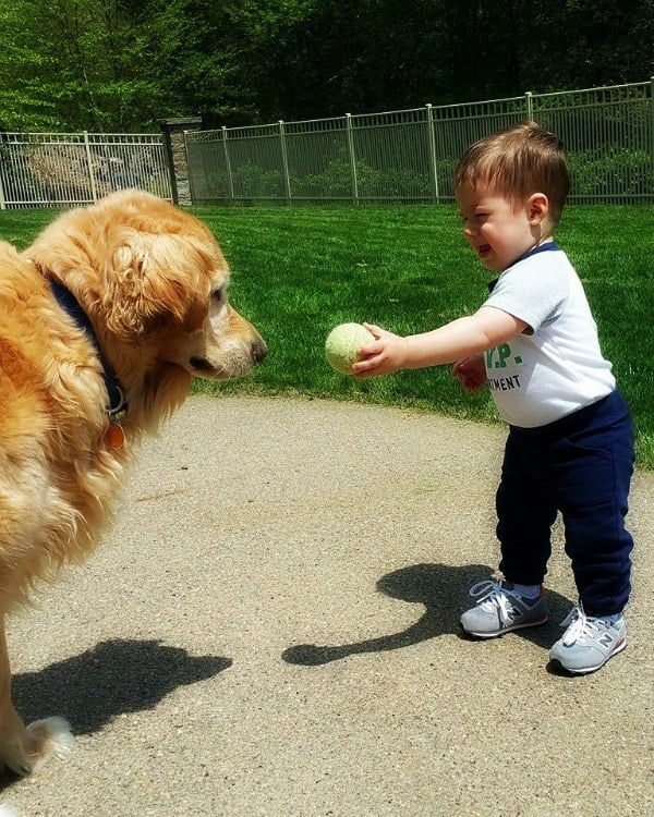 Einstein and Joseph playing catch with the tennis ball :)