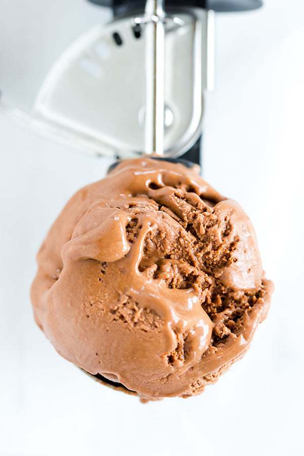 The famous "milkiest chocolate ice cream" from Jeni's Splendid Ice Creams - it's egg-free, rich, and has the most amazing chocolate flavor!