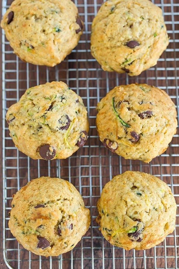 Zucchini-Chocolate Chip Muffins - A super quick and easy recipe, insanely moist, and a great way to use up the late summer zucchini bounty!