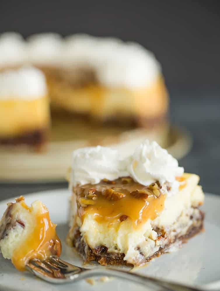 A forkful of pecan pie cheesecake taken from a slice.