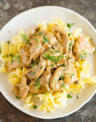 A plate of beef stroganoff over egg noodles.