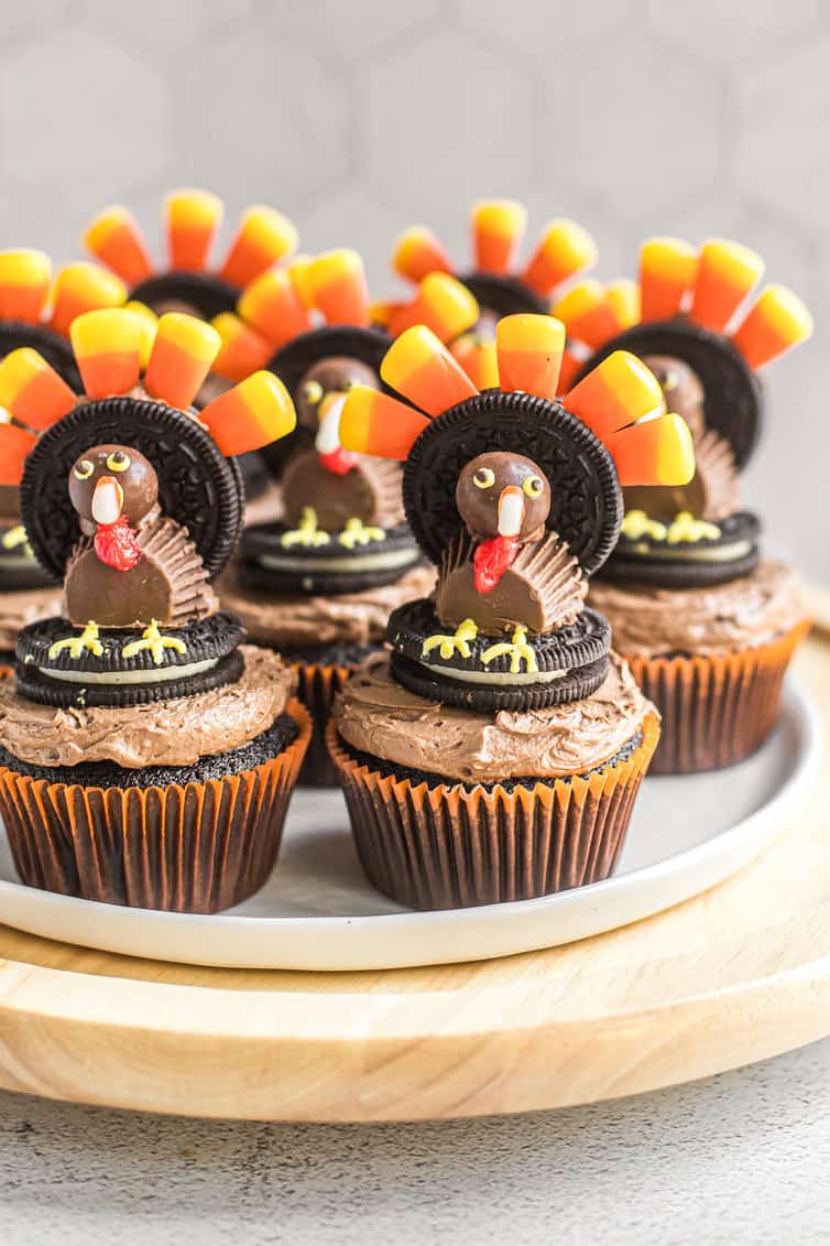 Chocolate cupcakes with turkey cupcake toppers made of candy.