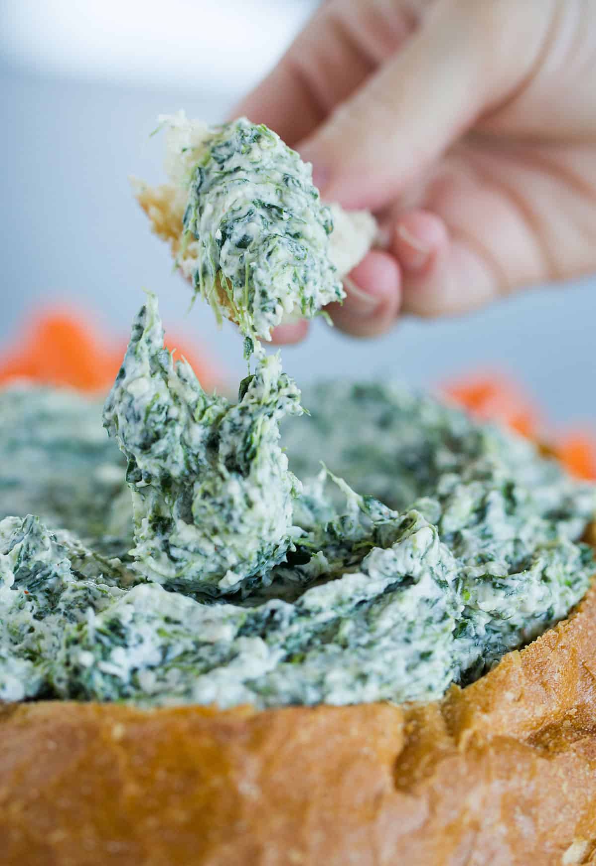 A bread bowl filled with spinach dip and a hand dipping a chip into the creamy dip.
