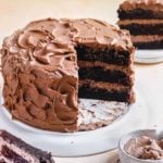 A chocolate cake on a white cake stand with slices removed to see the layers of the cake.