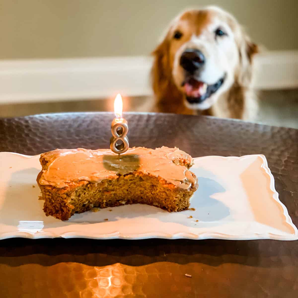 Dog Birthday Cake - Brown Eyed Baker