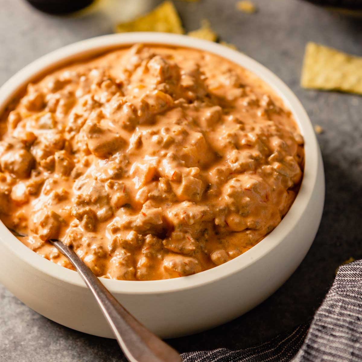 Savory Spice Seven Onion Dip Mix 3 Count