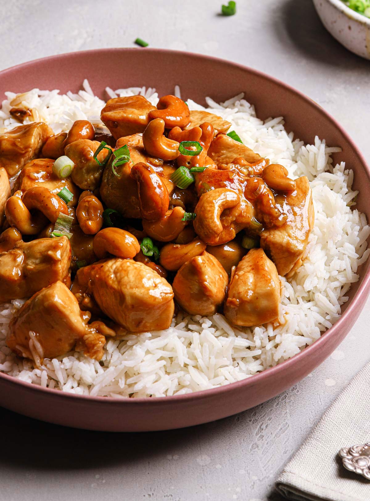 Stir-fried chicken with cashews served over white rice with green onions.